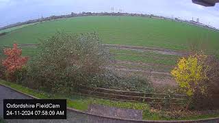 🔴 LIVE Oxfordshire FieldCam  Live Streaming from Oxfordshire UK [upl. by Hatty]