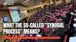 Synod on Synodality  What the quotSynodal Processquot Means [upl. by Inol]