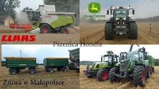 ⭐Żniwa 2019⭐PszenicaJohn Deere na pokazie🚜ClaasFendtJohn DeereGr OstrówRojek [upl. by Hcnarb]