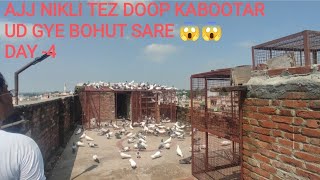 AJJ KABOOTAR UDD GYE BOHUT SARE [upl. by Edyak548]