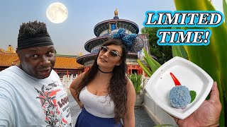 EPCOT limited time mooncake 🌙 Food and Wine festival review 2024 [upl. by Sisi332]