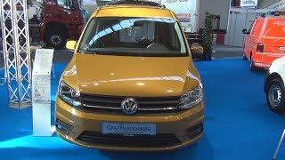 Volkswagen Caddy Maxi Beach 5Seater 20 TDI 110 kW 6DSG 2018 Exterior and Interior [upl. by Aerdnaz220]