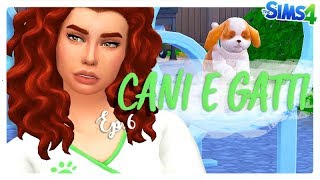 The Sims 4 CANI E GATTI — È scappato di casa Ep6 Gameplay ITA [upl. by Iznekcam]