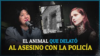 “La Casa Aramberri y la misteriosa investigación de la Policía” Mariana Maus  Relatos del Misterio [upl. by Ruiz62]