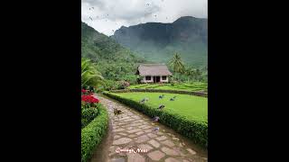 Serene Thatched Roof House in Tropical Paradise cottagenest nature cozycottage [upl. by Yvan]