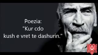 Daje Ramizi Karaeski  Poezi nga quotEzelquot Official Video [upl. by Yelwar]