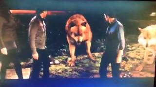 Breaking Dawn Part 1  Extended scene  Jacob heals [upl. by Fransen]