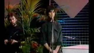 The Stranglers  Dont Bring Harry TOTP 1979 [upl. by Ttsepmet933]