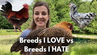 3 BEST amp 3 WORST CHICKEN BREEDS  Opinions of a Breeder amp Homesteader [upl. by Aehr]