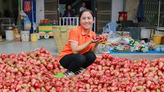 From Farm to Market Harvest Wax Apple MAN DO  go to market sell  Emma Daily Life [upl. by Baylor]