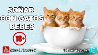 Significado de SOÑAR GATOS BEBES 🔞 ¿Que Significa [upl. by Baseler891]