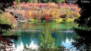 Relaxing Autumn Color and Sound at Clear Lake Oregon 15 minutesBrilliant Colors [upl. by Albie393]