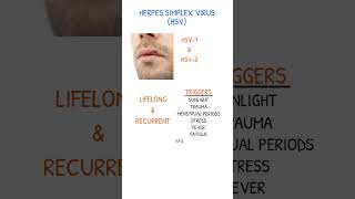 HERPES SIMPLEX VIRUS INTRO amp TRIGGERS [upl. by Girardo323]