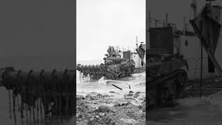 British Sherman Crab Flail tank coming ashore Walcheren Island 1944ytshort ww2 british sherman [upl. by Einaffets]