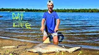 Shark Infested Waters  Atchafalaya River Sandbar [upl. by Dame]