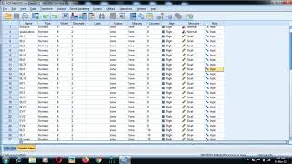 Reliability analysis in SPSS urduHindi [upl. by Aleen]