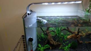 Top Fin 5 Gallon Glass Aquarium Review [upl. by Wicks]