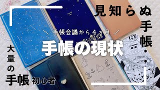 【手帳の使い分け】手帳初心者の複数冊使いの現状新しい手帳⁈挫折もありほぼ日MATOKA [upl. by Atokad]