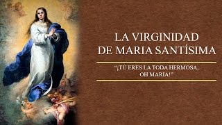 La Virginidad de María Santísima  ☕ Café Católico  Padre Arturo Cornejo ✔️ [upl. by Seuqramed]