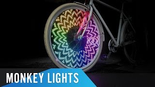 Monkey Lights Review amp Giveaway [upl. by Bozuwa552]