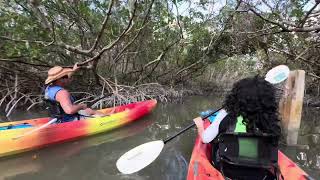 Out And About Sarasota at Kayaking SRQ [upl. by Nosa]