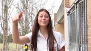 Plumpton High School Lip Dub 2013 [upl. by Jeuz]