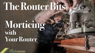 5 Essential Router Bits  Woodworking For Beginners 34 [upl. by Fletch]