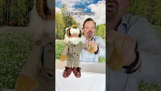 Puppet of the Day – Tiger made by Sunny Toys – The Puppet Hideaway with Eric Thomsen [upl. by Eneres]