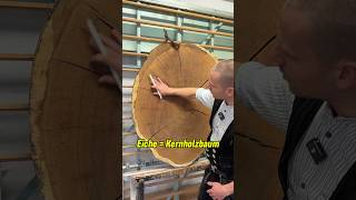 Aufbau des Baumes in 60 Sekunden wood handwerk shorts ausbildung [upl. by Lleynad]