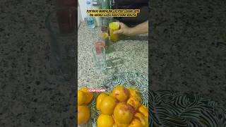 Portakal🍊Mandalina🍊Greyfurt🍊SıkmaSuyuBalHarikaLezzet Karıştırma Videom funny viralvideo shorts [upl. by Bella]