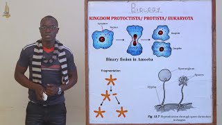 2 Classification II Kingdom Protoctista Protozoa and Algae Biology Form 3 [upl. by Myra]