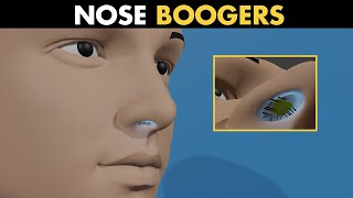 What Are Nose Boogers  Function Of Boogers In Nose [upl. by Weksler]