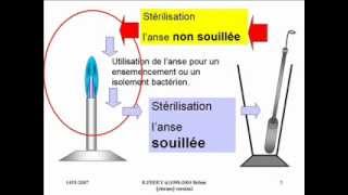 Sterilisation anse de platinewmv [upl. by Nosnek]