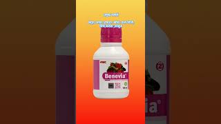 🌾Benevia insecticide 🌾 benevia insecticide control leaf minor 🌿 [upl. by Nanreit]