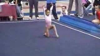 2006 Level 5 Floor SoCal State Championship [upl. by Ellehcyt627]