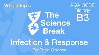 AQA GCSE Biology  Infection and Response  Whole Topic  Triple Science [upl. by Akerdnahs542]