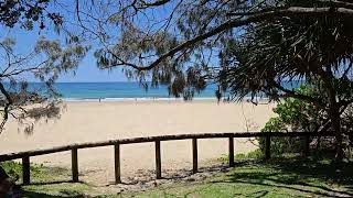 Nature at its finest 😀 Noosa Heads QUEENSLAND AUSTRALIA 🇦🇺 [upl. by Snow]