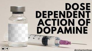 Dopamine Dose dependent action of dopamine Pharmacology MBBS [upl. by Hannavahs]