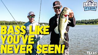 BIGGER BASS ARE IN TEXAS 322024 SouthEAST [upl. by Isoj]