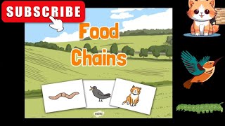 KG  Food Chains [upl. by Ellerud]