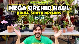 What a haul this is Part 1 of 2 episodes from my orchid shopping in Apopka Florida [upl. by Eked]