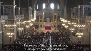 Hail Queen of Heaven the Ocean Star Hymn  Westminster Cathedral [upl. by Deborah]