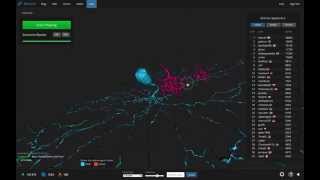 View Neuron Circuits in EyeWire [upl. by Woodward]