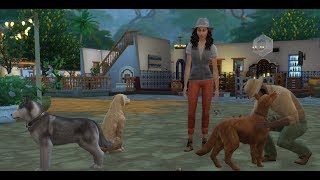 HUNDE URLAUB 22 DIE SIMS 4  HUNDE UND KATZEN  Lets Play The Sims 4 [upl. by Demitria237]