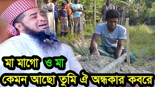 ও মা মাগো কেমন আছো তুমি ঐ অন্ধকার কবরে মুফতি ইলিয়াছুর রহমান জিহাদী ওয়াজ [upl. by Acinemod]