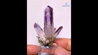 墨西哥維拉克魯茲幻影深紫晶簇Vera Cruz Amethyst [upl. by Eibot109]