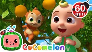 Grow Your Fruit Song 🍎🍊  🌈 CoComelon Sing Along Songs 🌈  Preschool Learning  Moonbug Tiny TV [upl. by Ylicec]