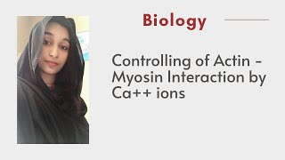 Controlling of Actin  Myosin Interaction by Ca ions  explained in Urdu and Hindi [upl. by Sallyann]