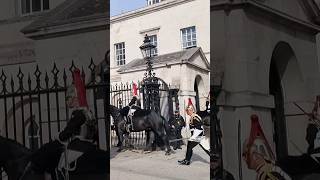 Kings Horse Duty Unveiled 😳 How Long Do Horses Stand at Horse Guards [upl. by Janene875]