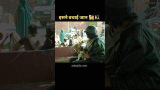 कुत्ते की बचाई जान newmovie [upl. by Haneekas]